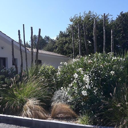 B&B Les Villas De Gascogne Lanton Buitenkant foto